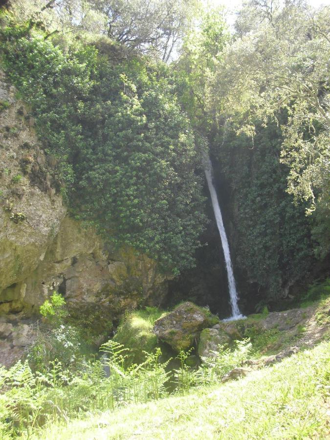 Вилла La Ermita Камаленьо Номер фото